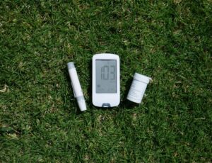 Differences Between Fructose and Glucose Metabolism in Human Digestive Systems